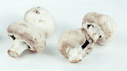 fresh mushrooms.isolated on a white background.