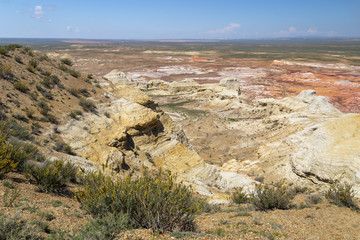 Siberian pea shrub (Caragana arborescens) on multicolored red, orange and yellow striped hills under the bright blue sky in Kiin-Kerysh (Valley of Spirits) Eastern Kazakhstan