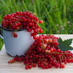 Still-life photo with fresh currant berries on wooden plank for promo