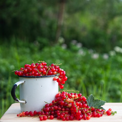 Still-life photo with fresh currant berries on wooden plank for promo