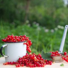 Still-life photo with fresh currant berries on wooden plank for promo
