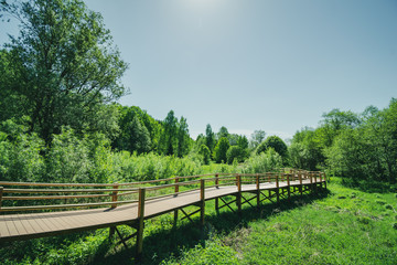 wooden footpath boardwalk in the bog swamp area