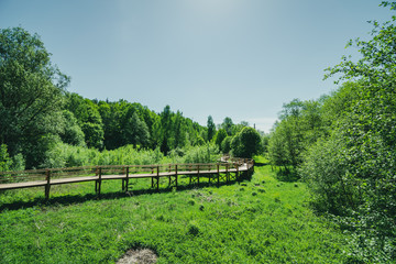 Fototapeta premium wooden footpath boardwalk in the bog swamp area