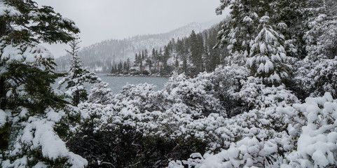 South Lake Tahoe Snow