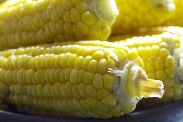 茹でたトウモロコシ