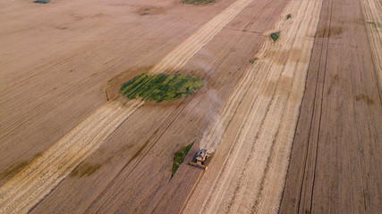 Aerial view on the combine working on the large wheat field
