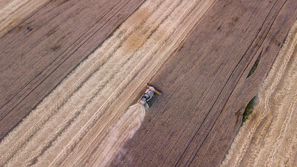Aerial view on the combine working on the large wheat field