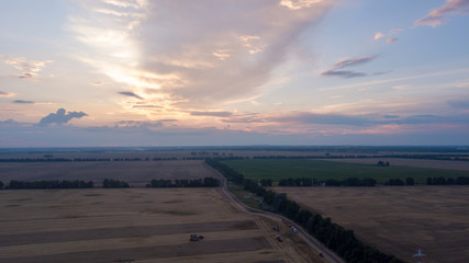Aerial drone view of wineyards fields from the top at the sunset. Drone Aerial View Concept.