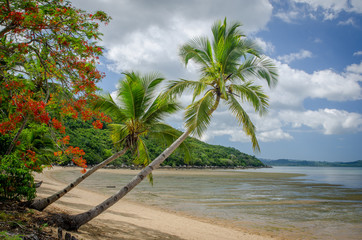 Paradise beach from Nosy Be (Madagascar)