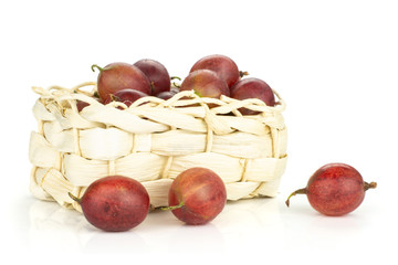 Obraz premium Lot of whole fresh red gooseberry hinnomaki variety in a wicker basket isolated on white