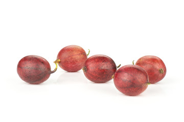 Group of five whole fresh red gooseberry hinnomaki variety isolated on white