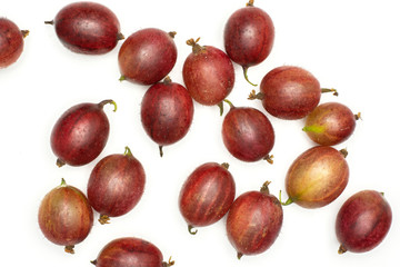 Lot of whole fresh red gooseberry hinnomaki variety flatlay isolated on white
