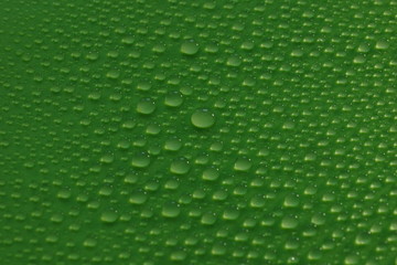 water drops on green background texture