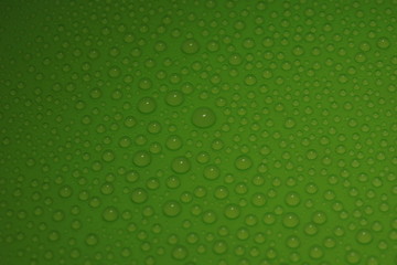 water drops on green background texture