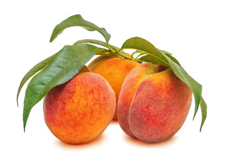 Fototapeta na wymiar Ripe and beautiful peaches