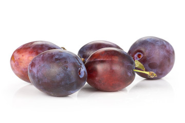Group of five whole fresh violet-blue plum vibrant moyer variety isolated on white