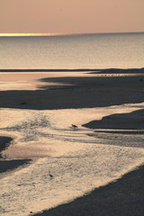 heron,river,panorama,sea,sunrise,water,horizon,view,landscape,sky,nature,summer,coastline