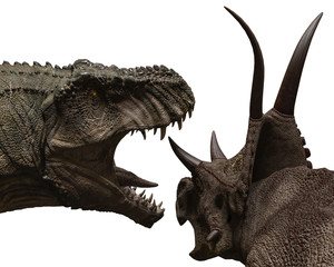 Fototapeta premium t-rex vs diabloceratops