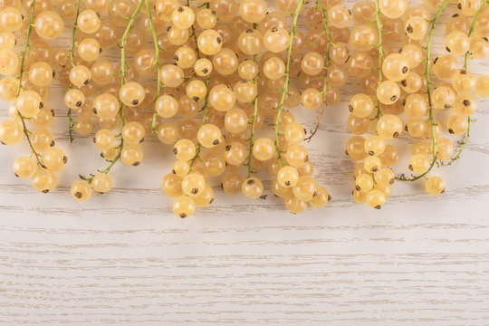 Lot of whole fresh white currant berry blanka variety hanging flatlay on grey wood