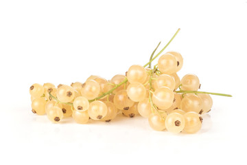 Lot of whole fresh white currant berry blanka variety some strigs isolated on white