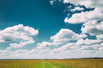 Summer Countryside Rural Field Meadow Landscape Under Scenic Dramatic Sky