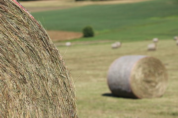 Erntezeit, Heuballen 