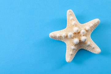 Tropical holiday, minimalism and summer vacation concept with close up on a single starfish isolated on minimalist blue background with copy space, top view and flat lay