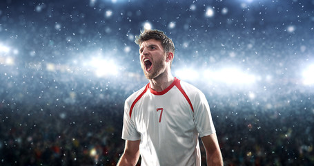 Soccer player celebrates a victory on the professional stadium while it’s snowing.