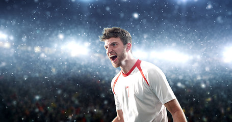 Soccer player celebrates a victory on the professional stadium while it’s snowing.