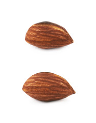 Single fried almond nut isolated