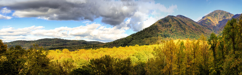 moutains, yellow, trees, forest, sky, clouds, landscapes