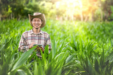 Young farmer stand smiling and recording the growth of corn in corn fields with beautiful sunset.