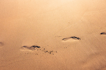 Footprints trace on wet golden sandy beach, sunset time