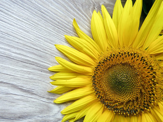yellow sunflowers on a wooden background