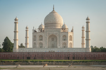 Fototapeta na wymiar Blick auf das Taj Mahal