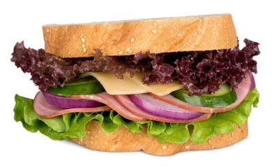 group of tasty sandwiches