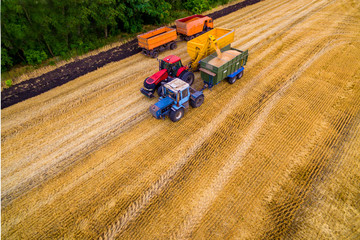 wheat harvesting. Two harvesters working in the field. Combine harvester agricultural machine collecting golden ripe wheat on the field. View from above.