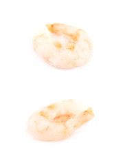 Canned shrimp isolated