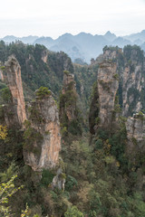 Landscape of Zhangjiajie. Taken from Old House Field. Located in Wulingyuan Scenic and Historic Interest Area which was designated a UNESCO World Heritage Site as well as AAAAA scenic area in china.