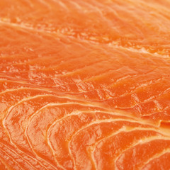 Close-up fragment of salmon fish