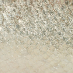 Close-up of a fish scales © Dmitri Stalnuhhin
