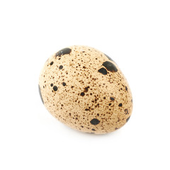 Quail egg composition isolated