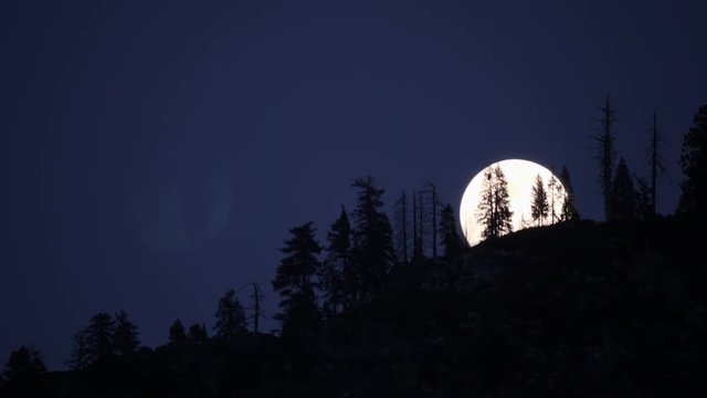 Moon Behing The Trees