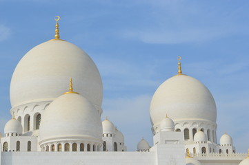 Fototapeta na wymiar Sheik Zayed's Mosque2 