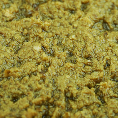 Surface coated with the green pesto