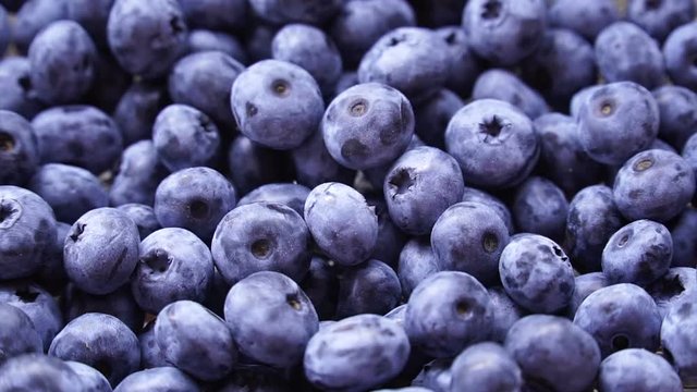 Fresh and ripe organic Blueberries Rotating. Diet, dieting, healthy vegan food.