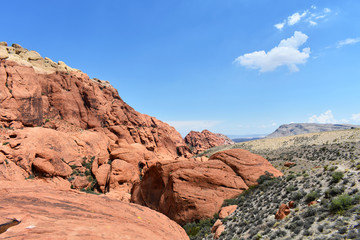 Fototapeta premium Red Rock Canyon