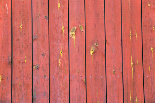 red wooden background
