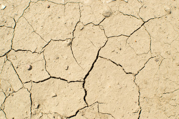 Cracked Dry Earth Top View