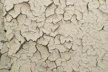Cracked Dry Earth Top View